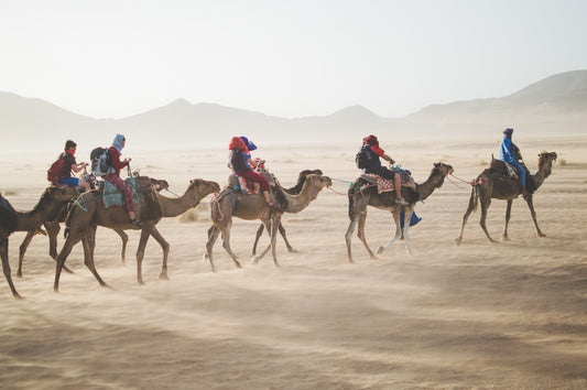 Top 15 Family Travel Blogs on Instagram: Must-Follow List